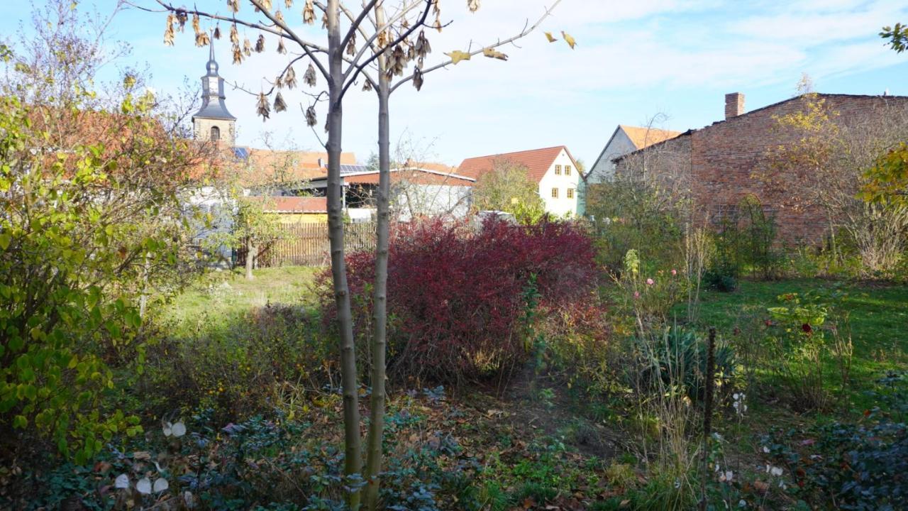 Appartamento Huette Mit Herz Im Harz Meisdorf Esterno foto